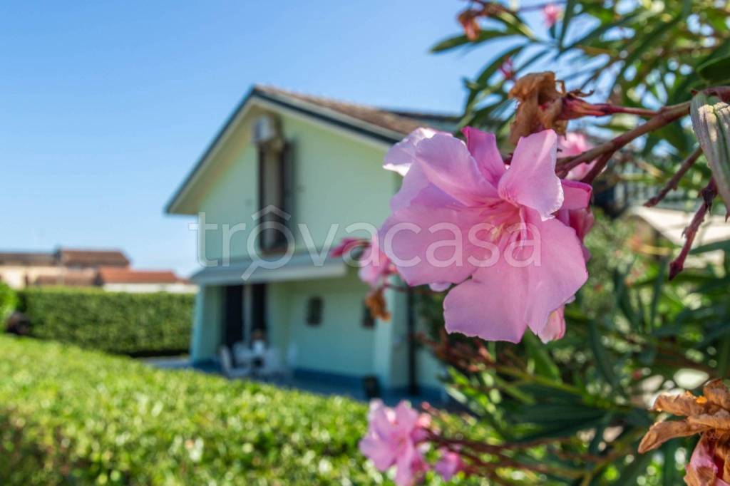 casa indipendente in vendita a Sissa Trecasali in zona Ronco Campo Canneto