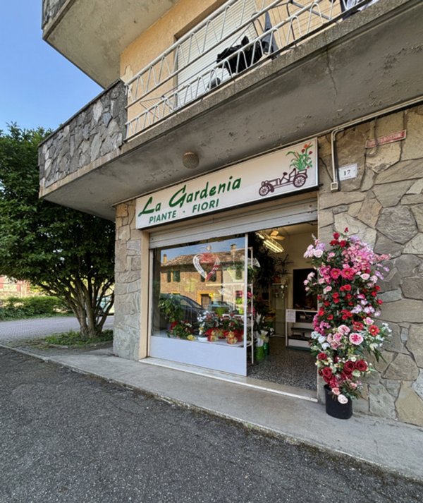 negozio in vendita a Sissa Trecasali