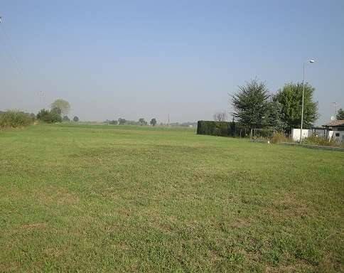terreno agricolo in vendita a Polesine Zibello in zona Vidalenzo