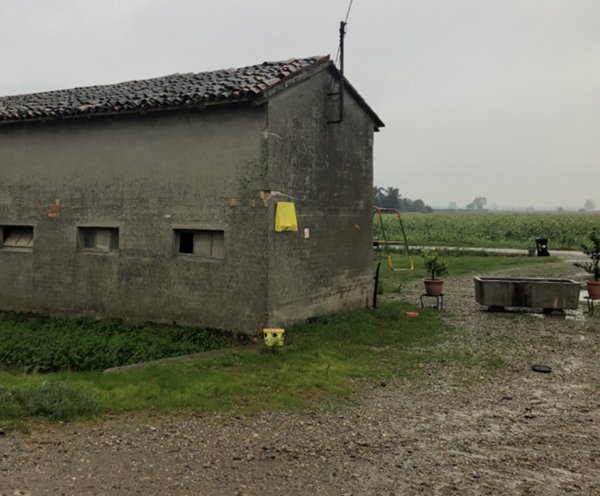 casa indipendente in vendita a Polesine Zibello
