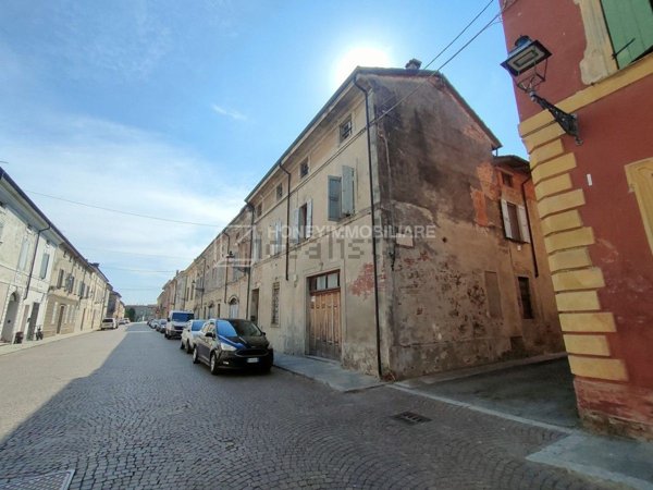 esavano in vendita a Polesine Zibello in zona Zibello