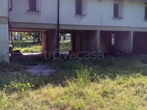 casa indipendente in vendita a Polesine Zibello in zona Polesine Parmense