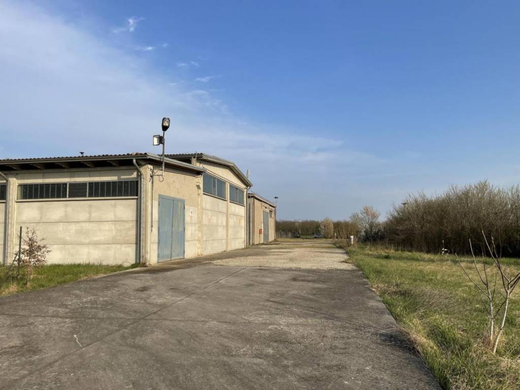 locale commerciale in vendita a Polesine Zibello in zona Vidalenzo