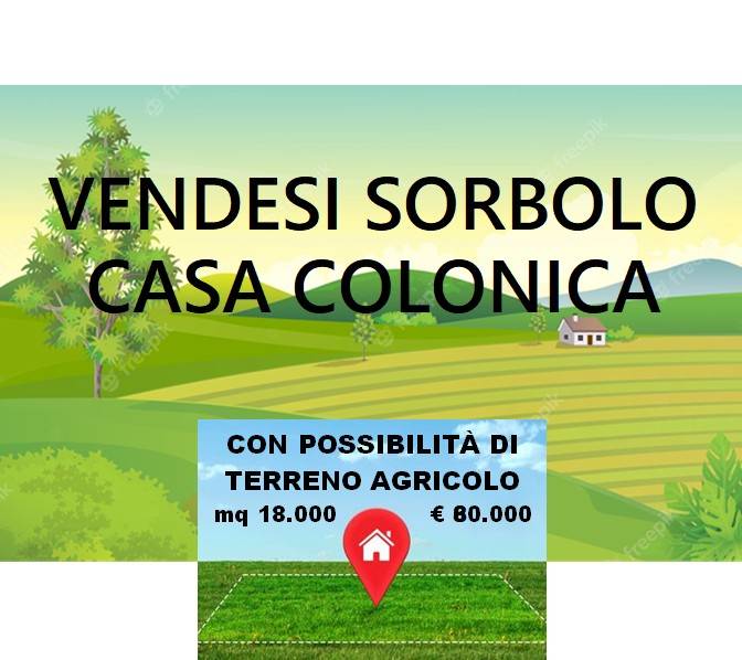 casa indipendente in vendita a Sorbolo Mezzani in zona Sorbolo