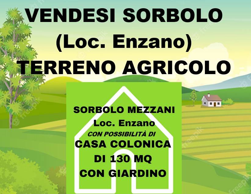 casa indipendente in vendita a Sorbolo Mezzani in zona Sorbolo
