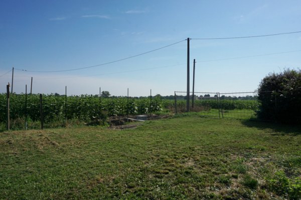 casa indipendente in vendita a Sorbolo Mezzani in zona Coenzo