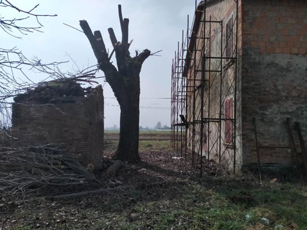 casa indipendente in vendita a Sorbolo Mezzani in zona Sorbolo