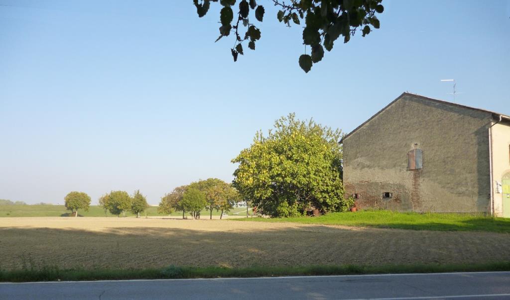 terreno agricolo in vendita a Sorbolo Mezzani in zona Casale