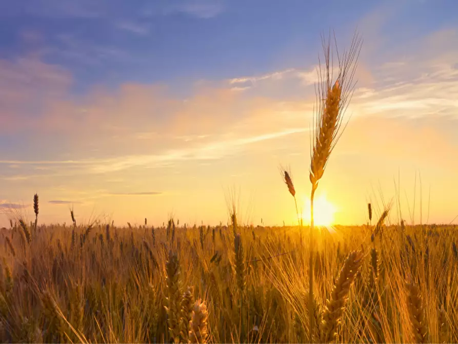 mansarda in vendita a Sorbolo Mezzani