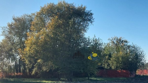 terreno edificabile in vendita a Sorbolo Mezzani