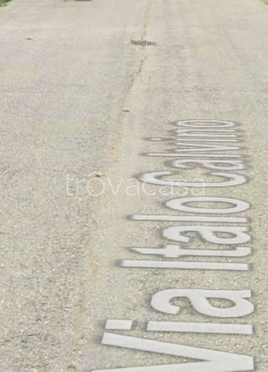 terreno agricolo in vendita a Santhià