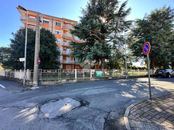 immagine annuncio 0 di 15