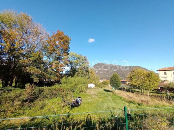 terreno agricolo in vendita a Serravalle Sesia in zona Bornate