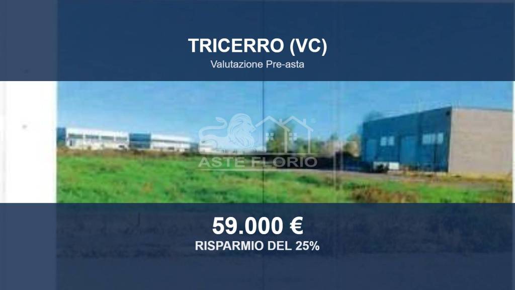 terreno edificabile in vendita a Tricerro