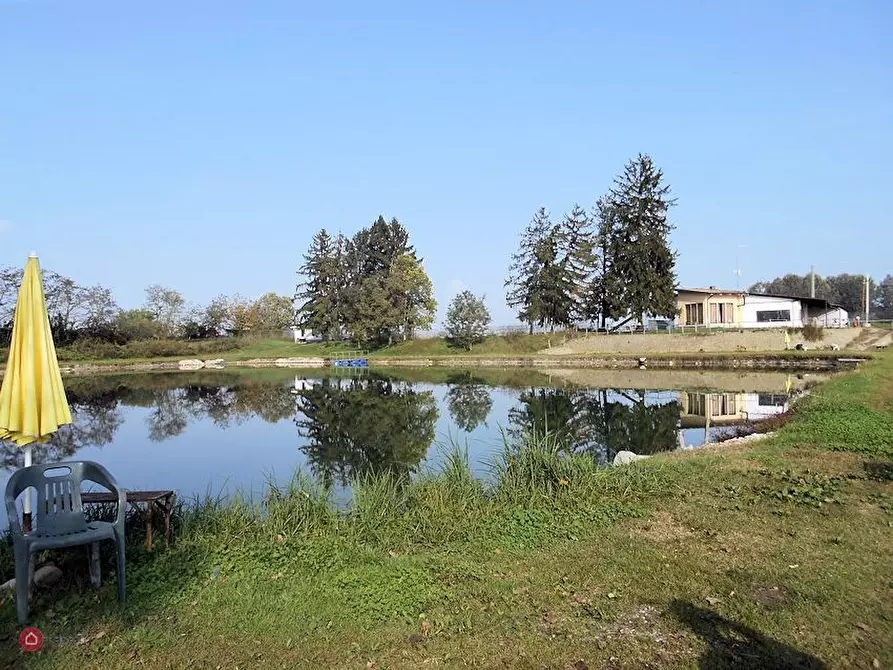 negozio in vendita a Trino