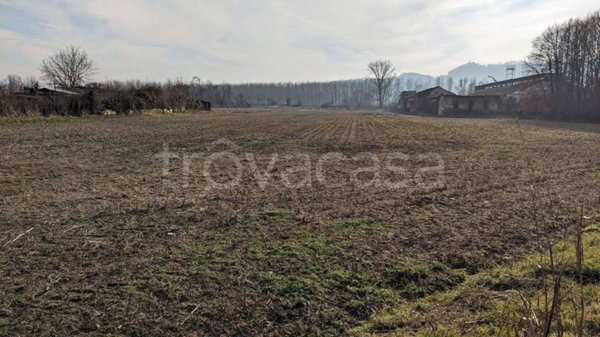 negozio in vendita a Trino