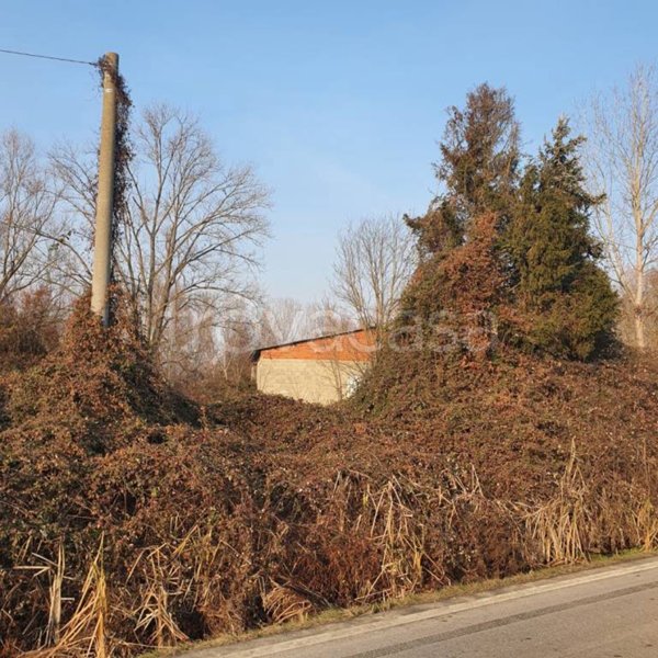terreno agricolo in vendita a Trino