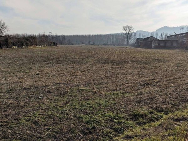 appartamento in vendita a Trino