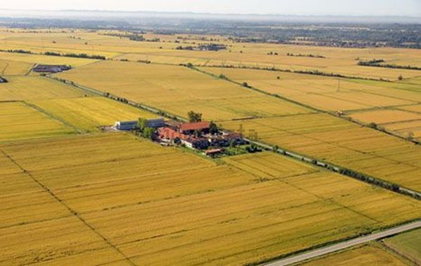 azienda agricola in vendita a Trino