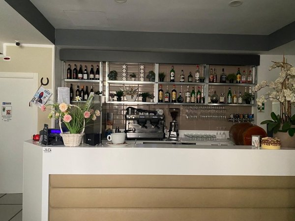 negozio in vendita a Trino