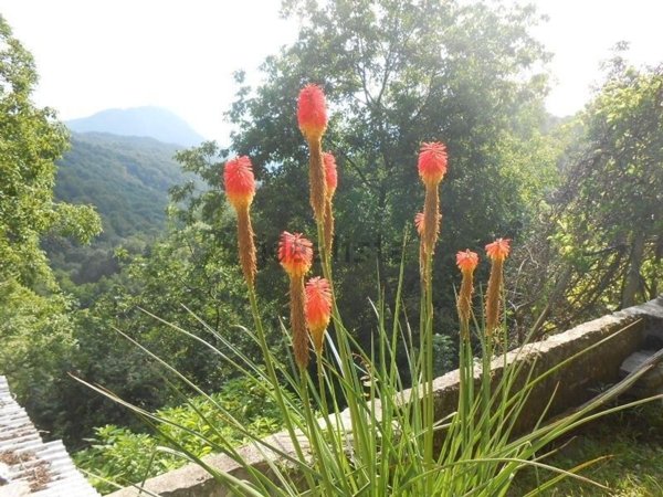 casa indipendente in vendita a Valduggia