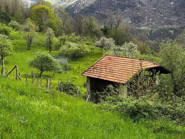 appartamento in vendita a Varallo