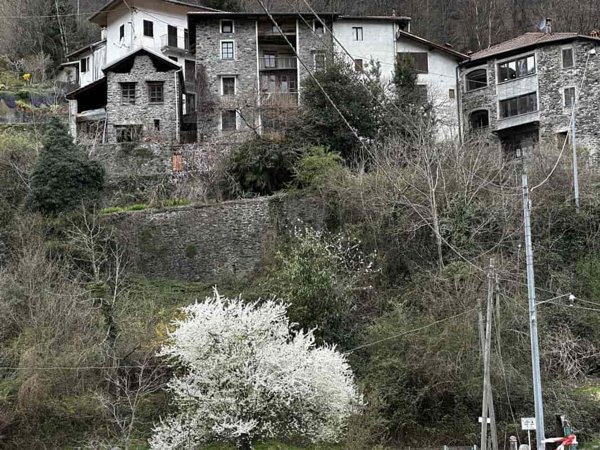 casa indipendente in vendita a Varallo