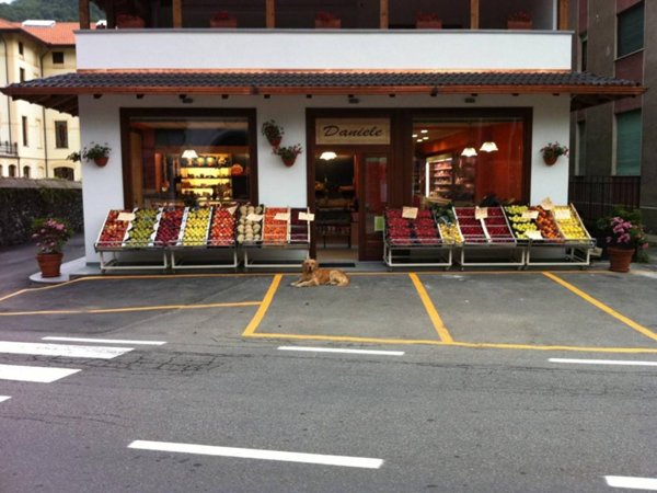 negozio in vendita a Varallo