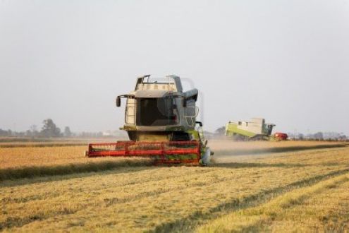 negozio in vendita a Vercelli