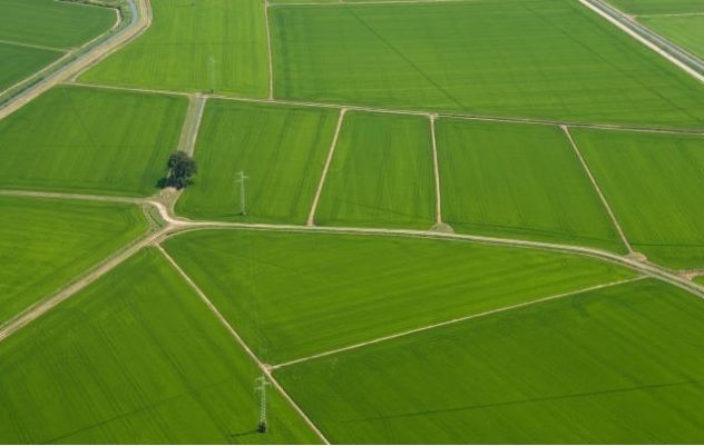 terreno agricolo in vendita a Vercelli