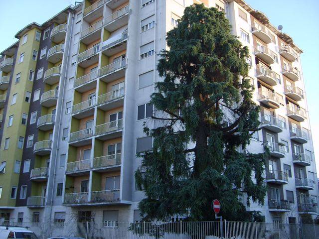 appartamento in vendita a Vercelli in zona Centro Città