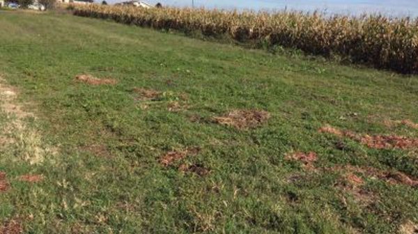 immagine annuncio 0 di 1