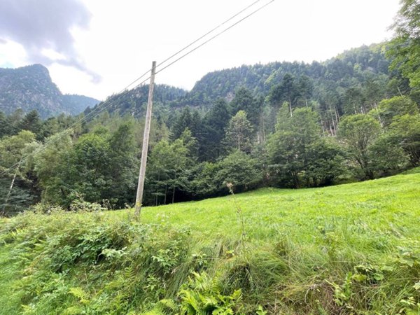 terreno agricolo in vendita ad Alto Sermenza