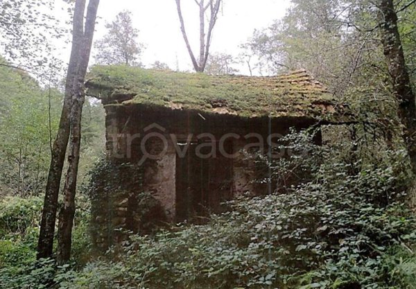 terreno edificabile in vendita a Cellio con Breia in zona Bosco