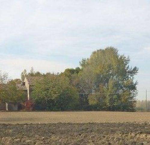 casa indipendente in vendita ad Albinea