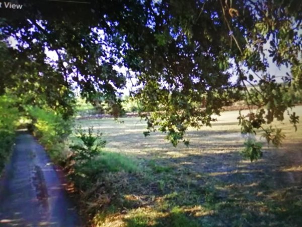 terreno agricolo in vendita ad Albinea in zona Borzano