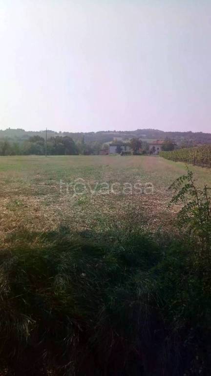 terreno agricolo in vendita ad Albinea in zona Borzano
