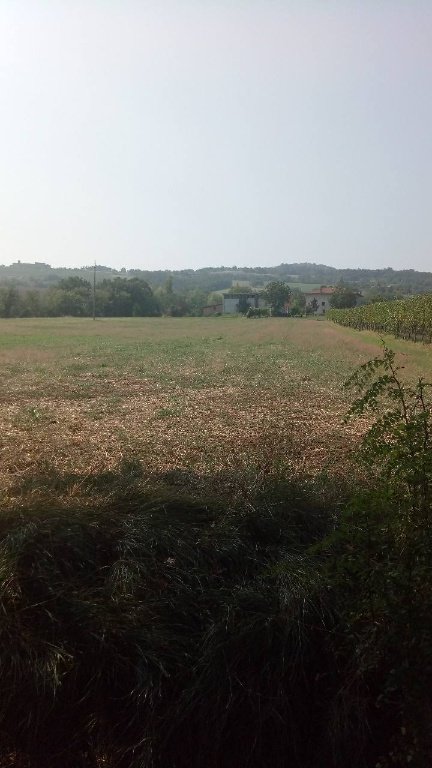 terreno agricolo in vendita ad Albinea in zona Borzano