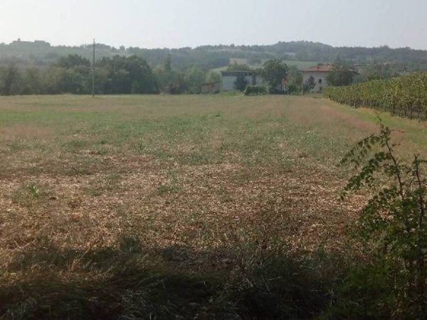 terreno agricolo in vendita ad Albinea in zona Borzano