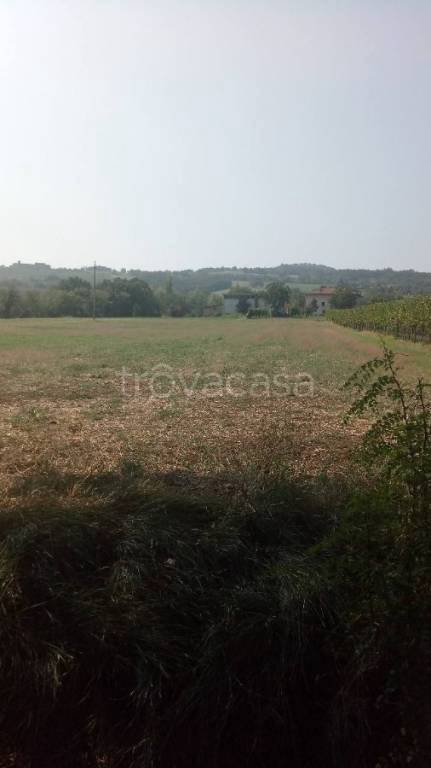 terreno agricolo in vendita ad Albinea in zona Borzano