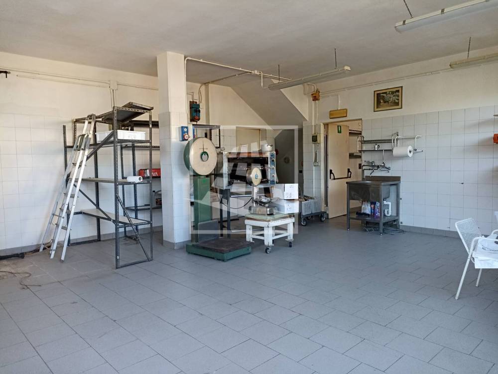 casa indipendente in vendita ad Albinea
