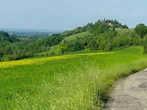 terreno agricolo in vendita ad Albinea