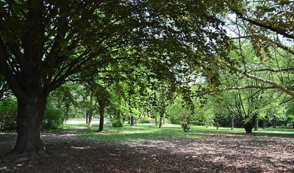 villa in vendita ad Albinea in zona Borzano