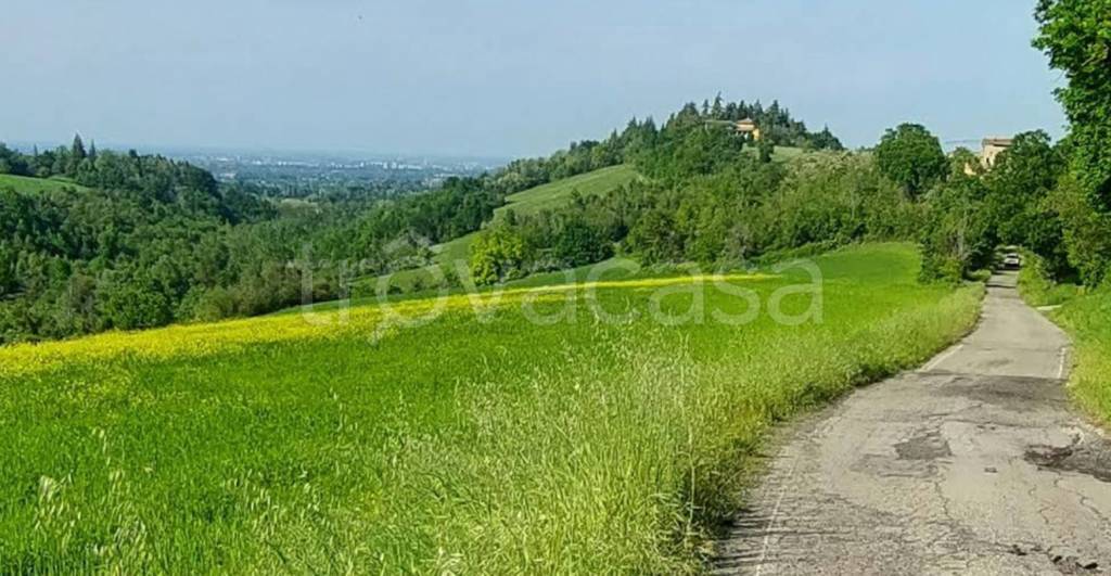 terreno agricolo in vendita ad Albinea