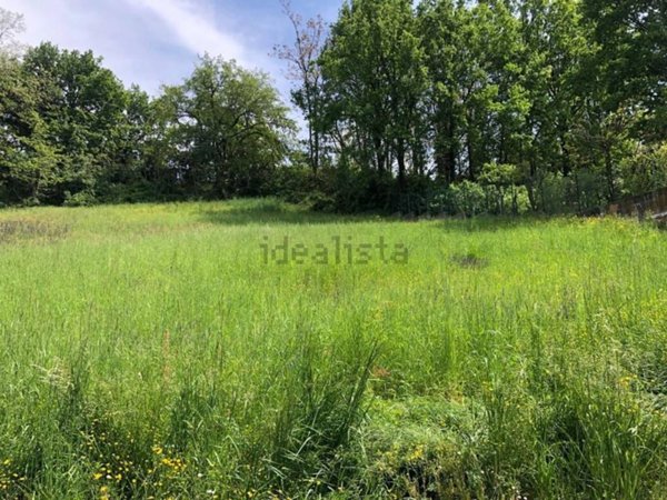 terreno agricolo in vendita ad Albinea in zona Borzano