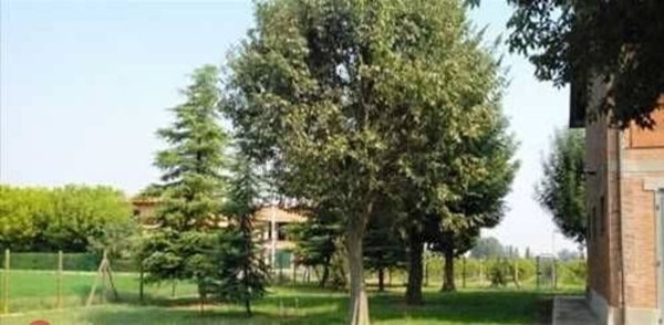 appartamento in vendita ad Albinea in zona Borzano