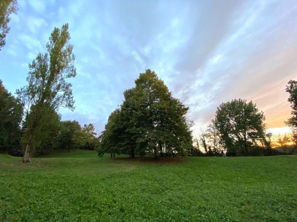terreno agricolo in vendita ad Albinea
