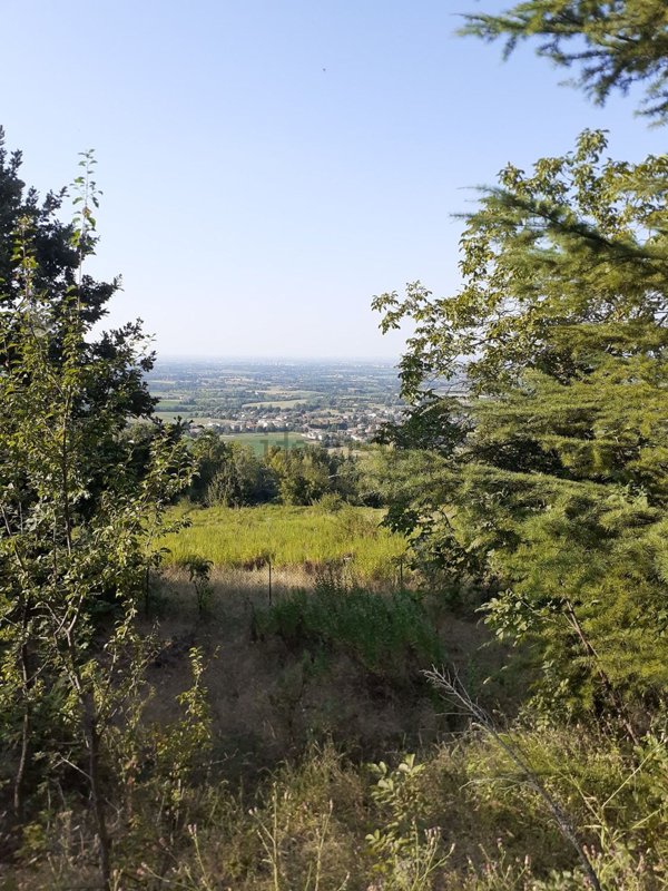 casa indipendente in vendita ad Albinea