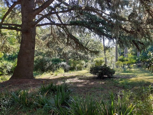 casale in vendita ad Albinea in zona Borzano