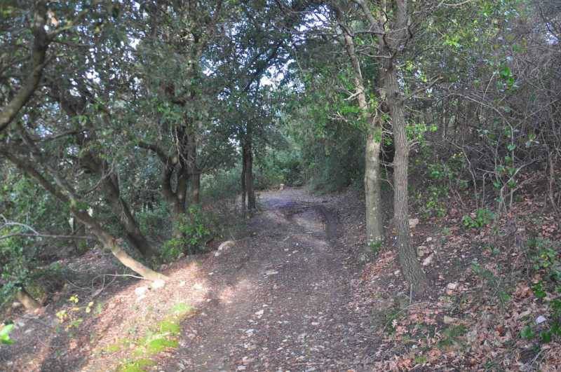 casa indipendente in vendita ad Albinea in zona Broletto